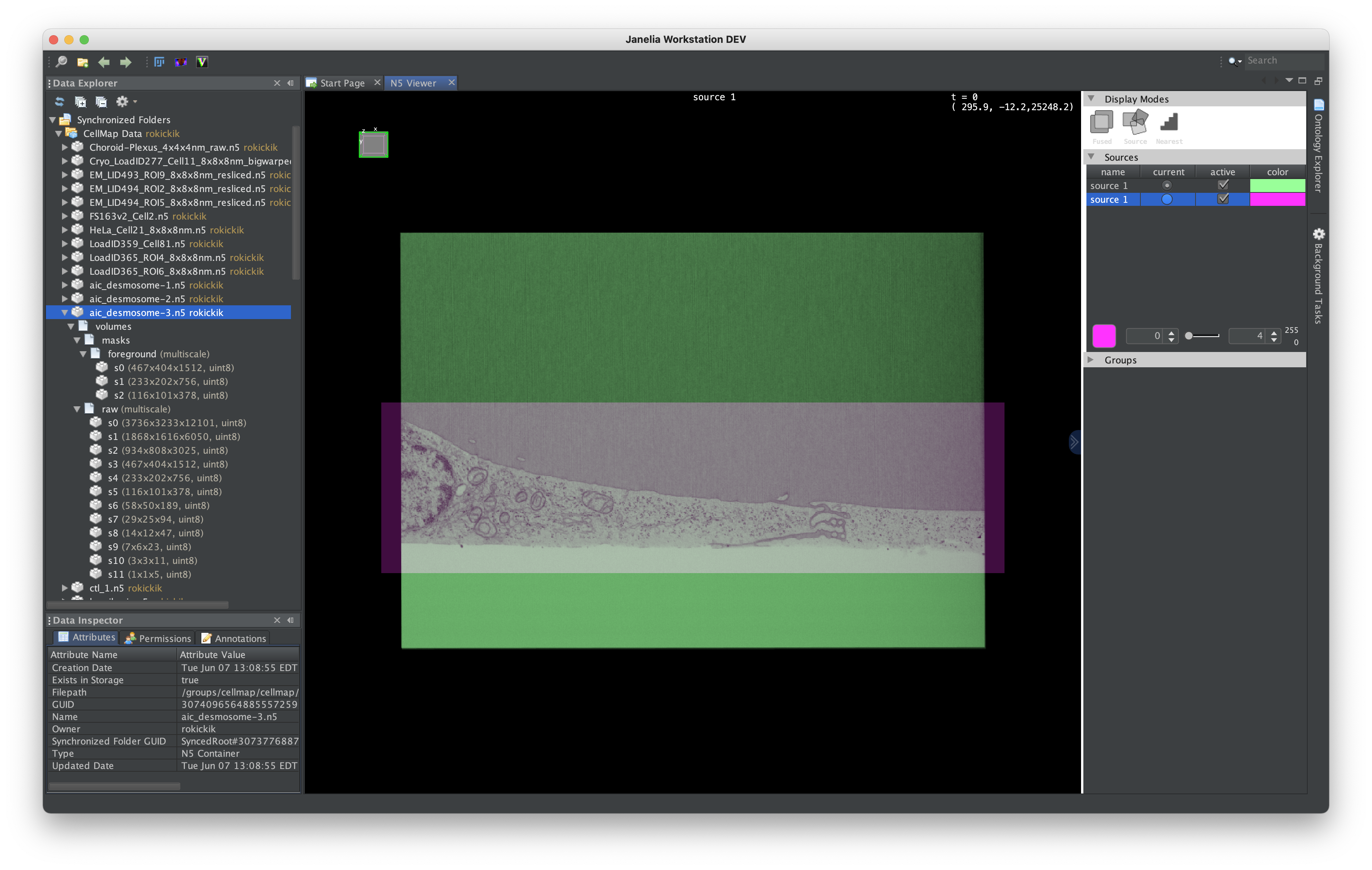 N5 Viewer plugin for Janelia Workstation | CellMap hackathon blog