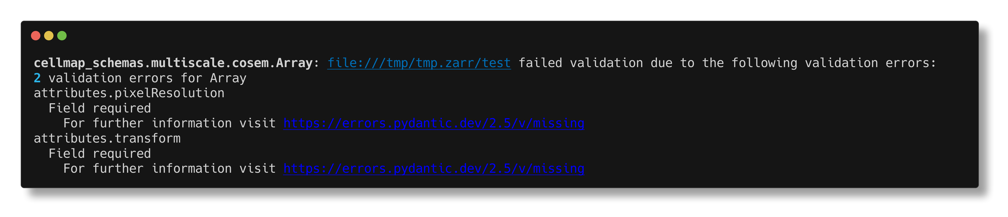 cellmap-schemas check example local array output